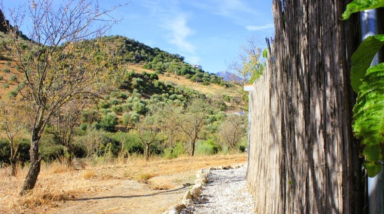 Cadiz - El Gastor - 27490m2