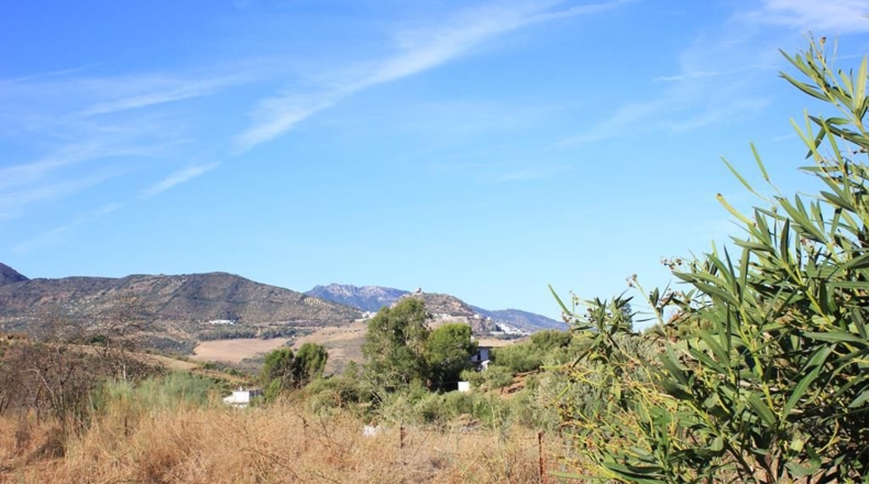 Cadiz - El Gastor - 27490m2