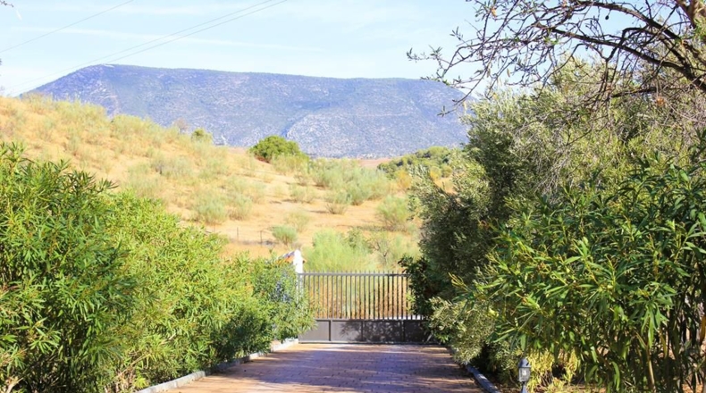 Cadiz - El Gastor - 27490m2