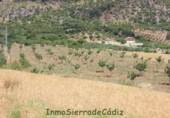 Terreny no urbanitzable en venda a Algodonales ref.: TR185877 foto