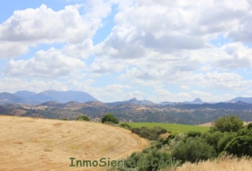 Algodonales 12880&nbsp;m² 