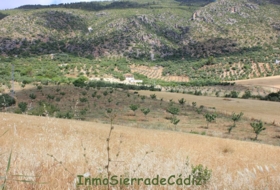 Algodonales 12880&nbsp;m² 