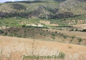 Terreny no urbanitzable en venda a Algodonales ref.: TR185877 foto
