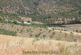 Algodonales 12880&nbsp;m² 