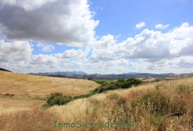 Algodonales 12880&nbsp;m² 