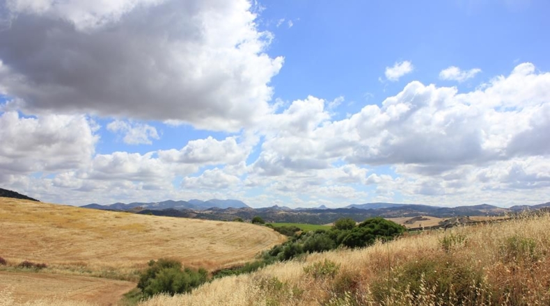 Cádiz - Algodonales - 12880m2