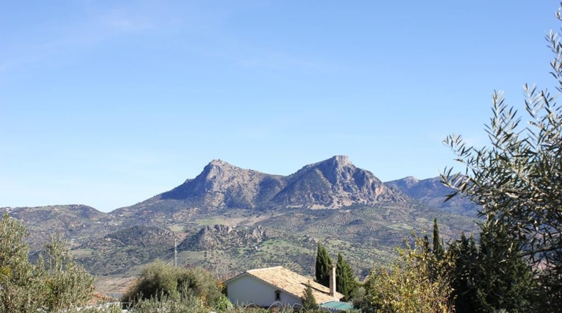 Cádiz - Zahara - 8457m2