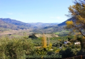 Casa de camp amb terreny en venda a Zahara ref.: TR253512 foto