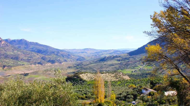 Cádiz - Zahara - 8457m2