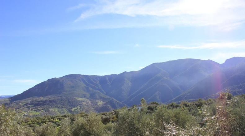 Cádiz - Zahara - 8457m2