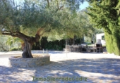 Casa de camp amb terreny en venda a Zahara ref.: TR253512 foto