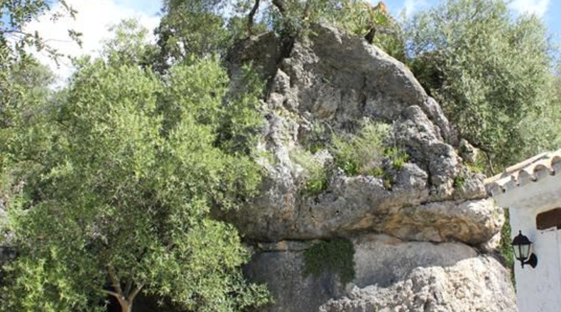 Cádiz - Algodonales - 62026m2