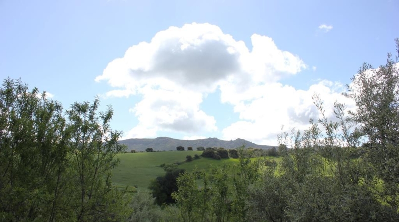 Cádiz - Algodonales - 62026m2