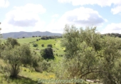 Casa de camp amb terreny en venda a Algodonales ref.: TR353539 foto
