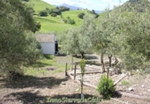 Casa de camp amb terreny en venda a Algodonales ref.: TR353539 foto