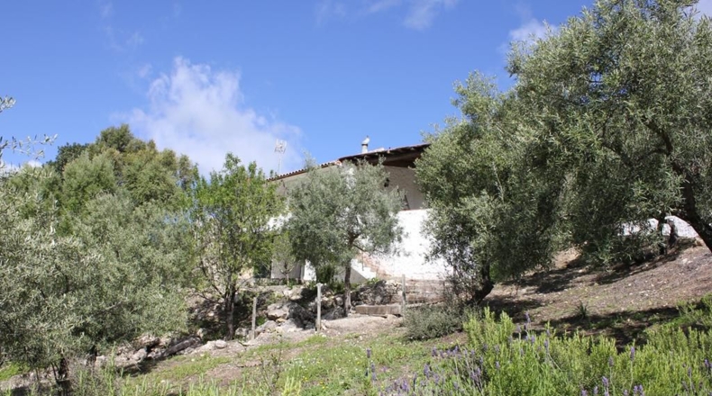 Cádiz - Algodonales - 62026m2