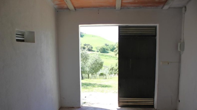 Cádiz - Algodonales - 62026m2