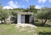 Casa de camp amb terreny en venda a Algodonales ref.: TR353539 foto