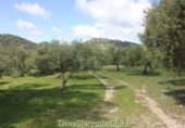 Casa de camp amb terreny en venda a Algodonales ref.: TR353539 foto