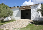 Casa de camp amb terreny en venda a Algodonales ref.: TR353539 foto