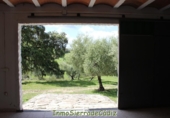 Casa de camp amb terreny en venda a Algodonales ref.: TR353539 foto