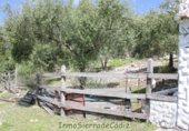 Casa de camp amb terreny en venda a Algodonales ref.: TR353539 foto