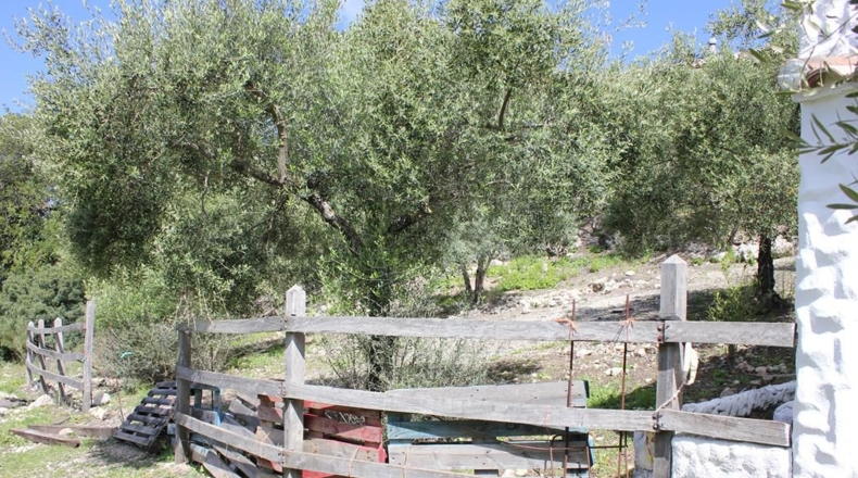 Cádiz - Algodonales - 62026m2