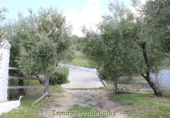 Casa de camp amb terreny en venda a Algodonales ref.: TR353539 foto