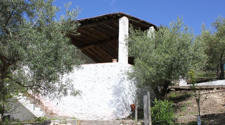 Cádiz - Algodonales - 62026m2