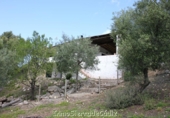 Casa de camp amb terreny en venda a Algodonales ref.: TR353539 foto