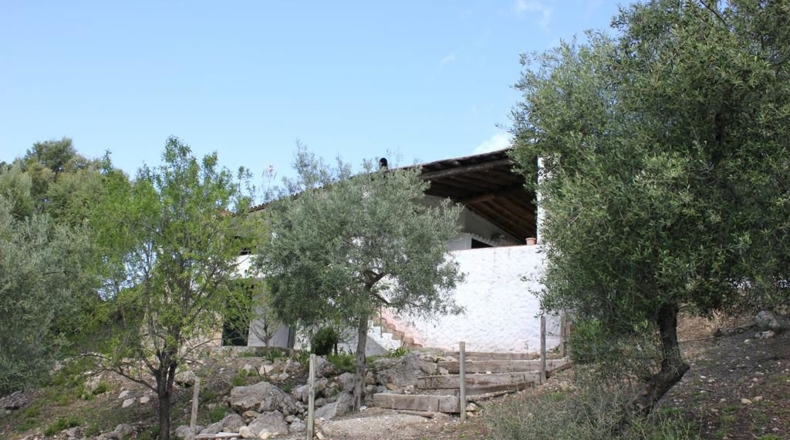 Cádiz - Algodonales - 62026m2