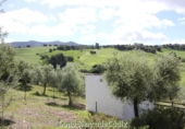 Casa de camp amb terreny en venda a Algodonales ref.: TR353539 foto
