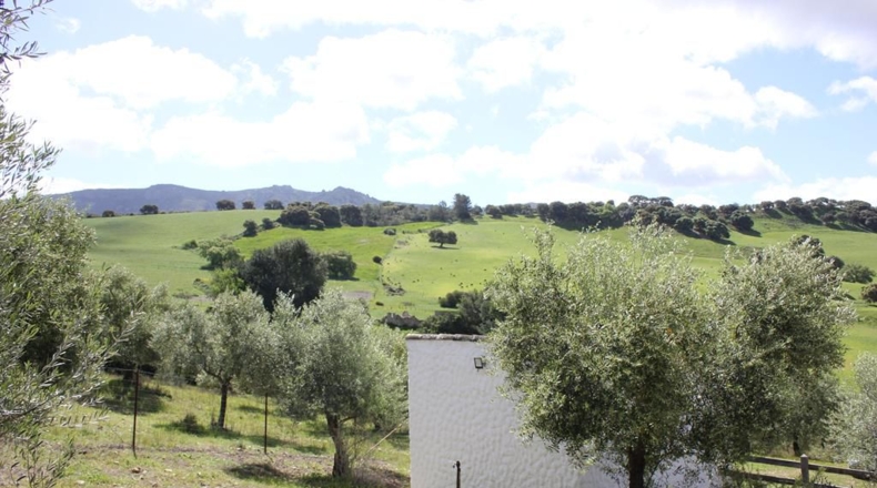 Cádiz - Algodonales - 62026m2