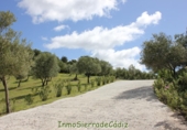 Casa de camp amb terreny en venda a Algodonales ref.: TR353539 foto
