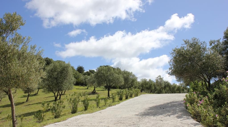 Cádiz - Algodonales - 62026m2