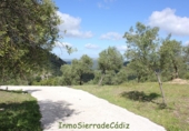 Casa de camp amb terreny en venda a Algodonales ref.: TR353539 foto
