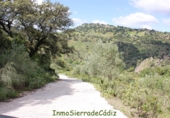 Casa de camp amb terreny en venda a Algodonales ref.: TR353539 foto