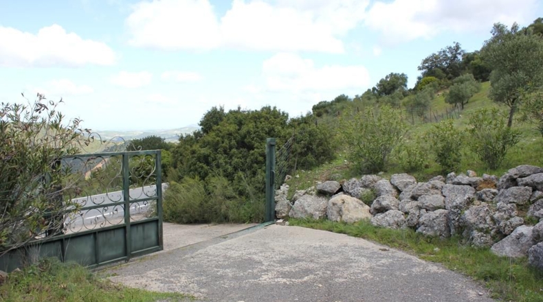 Cádiz - Algodonales - 62026m2