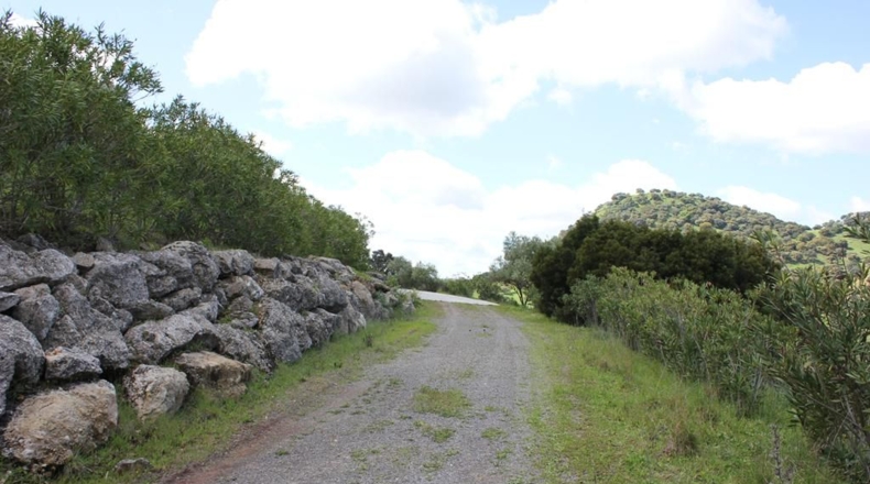 Cádiz - Algodonales - 62026m2