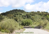 Casa de camp amb terreny en venda a Algodonales ref.: TR353539 foto