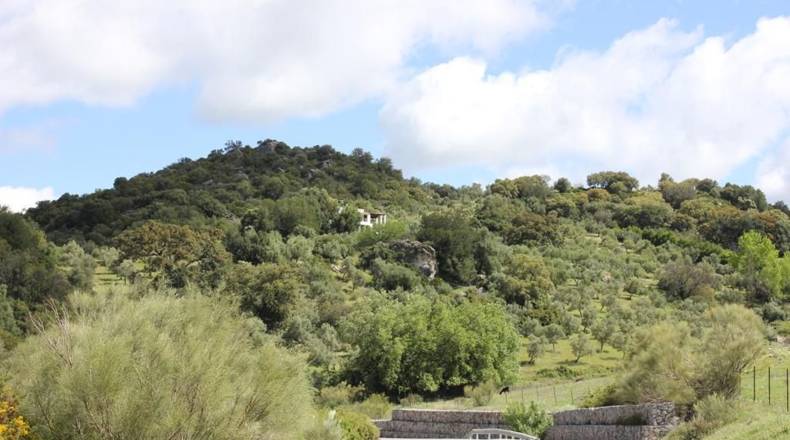 Cádiz - Algodonales - 62026m2