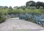 Casa de camp amb terreny en venda a Algodonales ref.: TR353539 foto