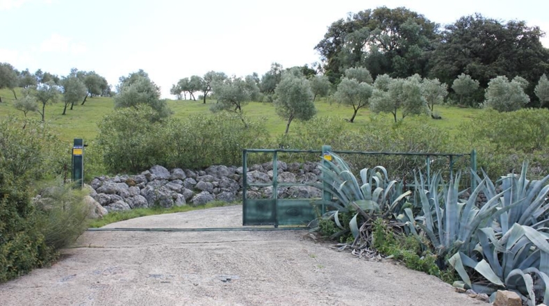 Cádiz - Algodonales - 62026m2
