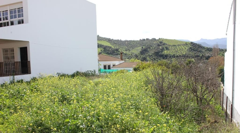 Cádiz - Algodonales - 1306m2