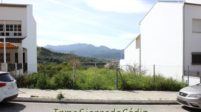 Cádiz - Algodonales - 1306m2