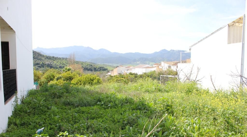 Cádiz - Algodonales - 1306m2