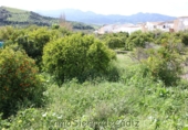 Sòl urbà en venda a Algodonales ref.: TR253513 foto