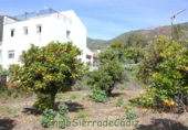 Sòl urbà en venda a Algodonales ref.: TR253513 foto