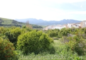 Sòl urbà en venda a Algodonales ref.: TR253513 foto