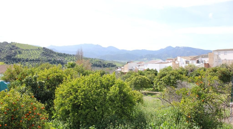 Cádiz - Algodonales - 1306m2